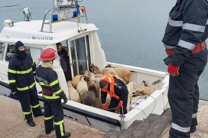 "The rescue operation is ongoing," a spokeswoman for the rescue services said. "We hope that the sheep inside the ship's hold are still alive"