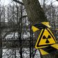 Activists said they had registered higher than usual radiation levels at the site, which contains radioactive waste buried in the pre-Chernobyl Soviet era, near to where a new eight-lane highway is planned in Moscow