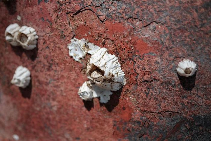 Watch Dr. P Punch Out Two Huge Neck Cysts