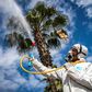 A Moroccan health ministry worker disinfects a street in the capital Rabat to combat the spread of coronavirus