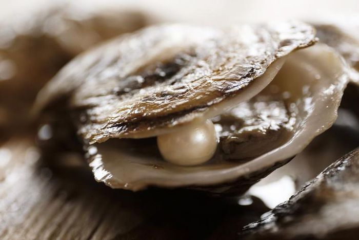 Watch Dr. Pimple Popper Remove a 'Pearl' Milia