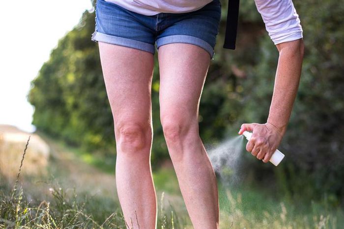 Mosquito Bite Pictures To Identify Your Bug Bite