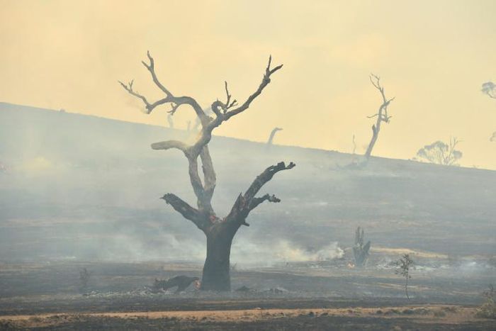 The devastating fires have raged since September, burning more than 10 million hectares (25 million acres) and killing 33 people