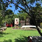 Chivers outdoor gym, flourishing with foliageand wallball drills.