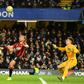Bournemouth's Dan Gosling bagged the shock winner at Chelsea