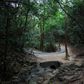 The 100-kilometre (62-mile) Oxfam Trailwalker, stretches over the hills of the New Territories on the mainland side of the territory