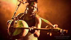 King Ayisoba