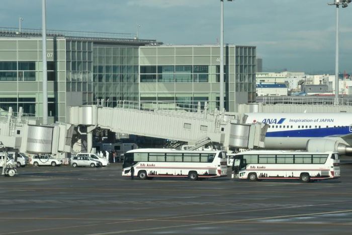 A charter flight carrying 206 Japanese nationals has arrived in Tokyo from the city of Wuhan, the centre of a deadly virus outbreak