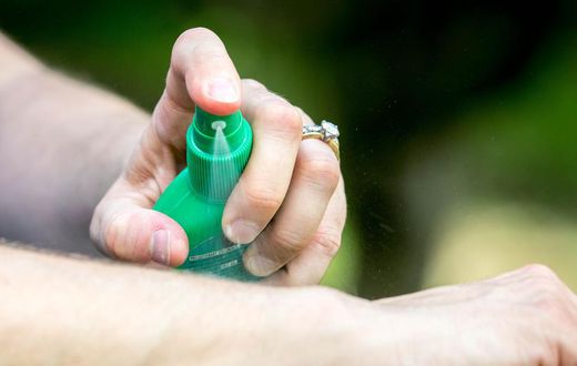 Is DEET In Bug Spray Safe To Use?