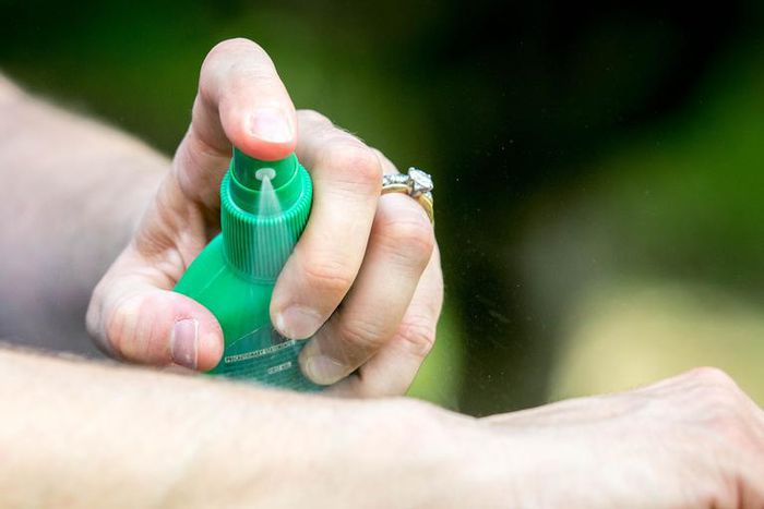 Is DEET In Bug Spray Safe To Use?