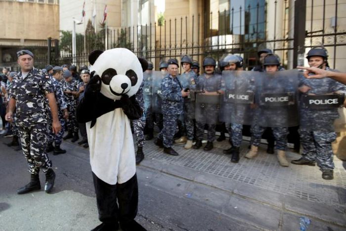 Lebanese protesters - including one dressed in a panda suit - tried to prevent judges and lawyers from going to work