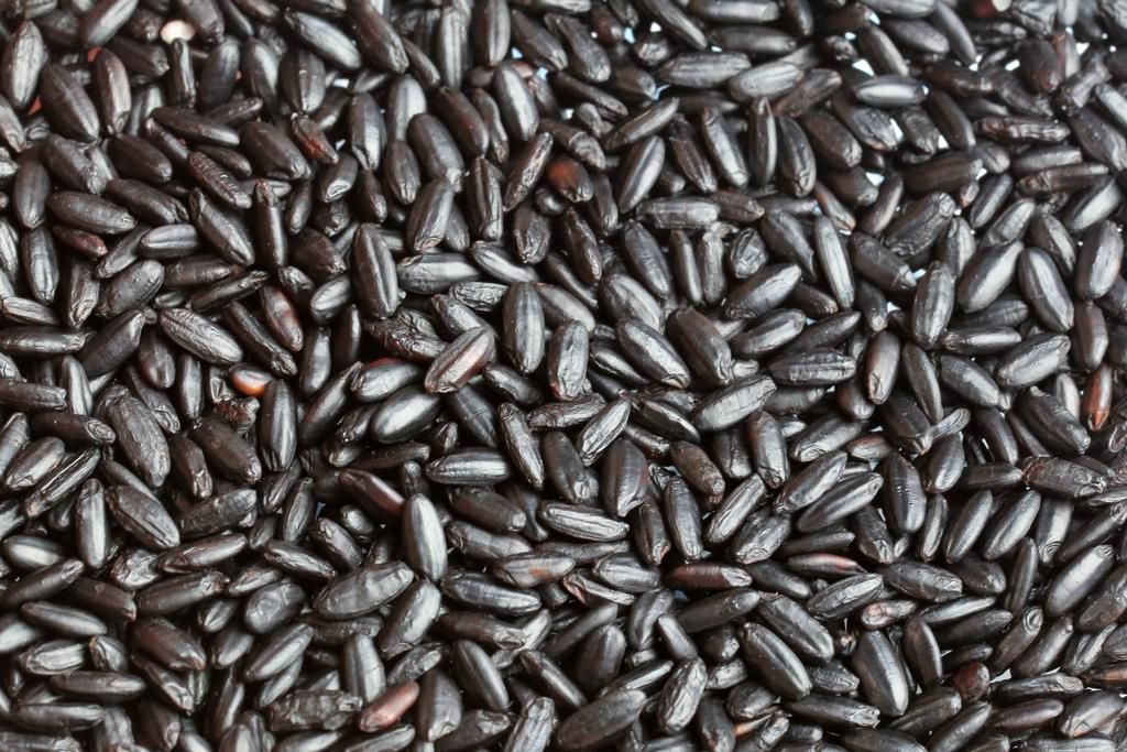 Full frame of Black Forbidden Rice (Oryza sativa)