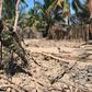 Islamist militants have attacked and burned villages in Mozambique's northern Cabo Delgado region