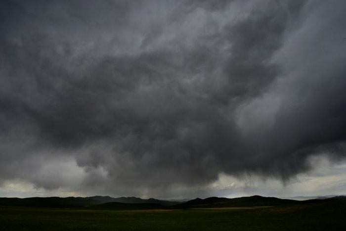 Mongolia is the latest nation to place restrictions on Chinese travellers after the World Health Organization declared the new coronavirus an international emergency