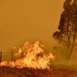 The Australian bushfires raged for months, devastating tens of thousands of hectares