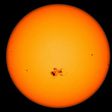 Sunspots and Stranded Whales: A Bizarre Correlation