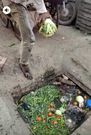 Disturbing photos show vegetable vendor collecting them from a dirty gutter