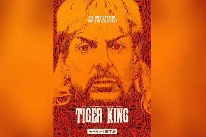 What Happened To 'Tiger King's' Don Lewis?