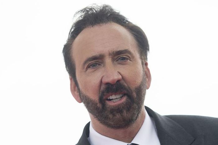 Nicolas Cage Will Play Nicolas Cage in New Movie