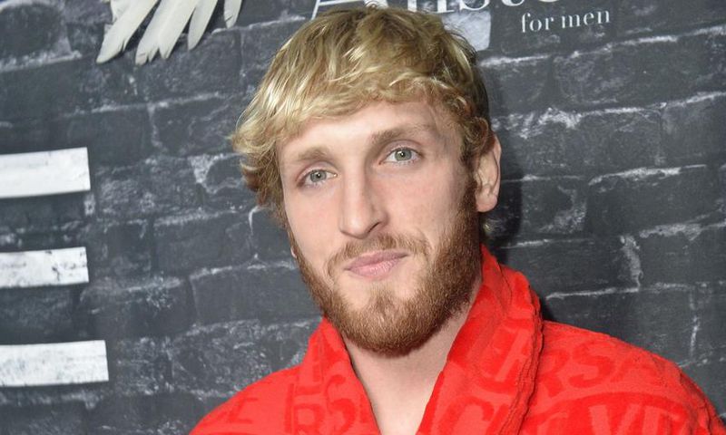 Logan Paul Got KO'd by UFC Fighter Paulo Costa