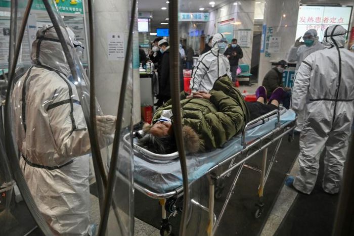 The virus, which has since gone on to kill more than 1,000 people across China, is believed to have crossed into humans from an animal market in Wuhan