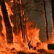 Devastating bushfires have razed more than a million hectares along Australia's seaboard