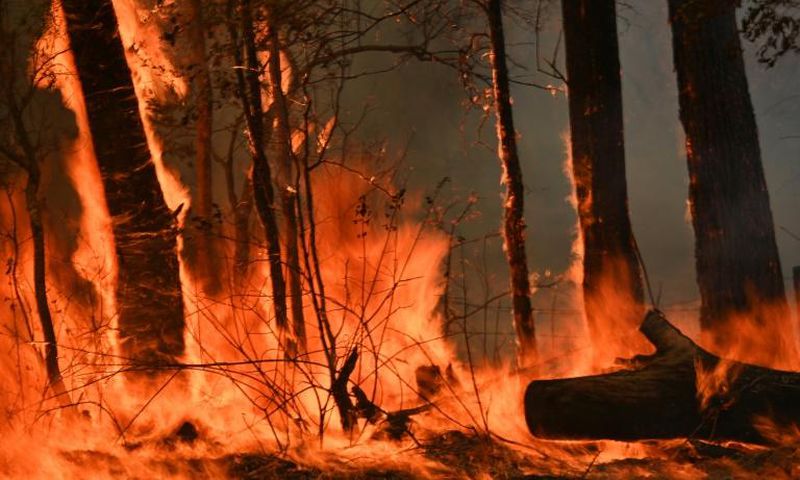 Devastating bushfires have razed more than a million hectares along Australia's seaboard
