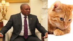 Ex-President Mahama shares video of mouse chasing a cat