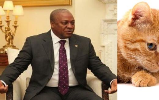 Ex-President Mahama shares video of mouse chasing a cat