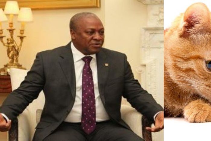 Ex-President Mahama shares video of mouse chasing a cat