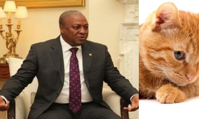 Ex-President Mahama shares video of mouse chasing a cat