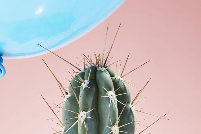 These Are Dr. Pimple Popper’s Favorite Pops