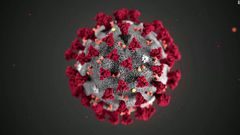 Coronavirus cases in Ghana rise to 24, two deaths now recorded