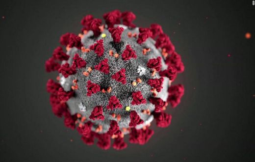 Coronavirus cases in Ghana rise to 24, two deaths now recorded