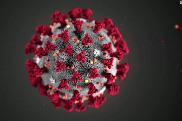 Coronavirus cases in Ghana rise to 24, two deaths now recorded