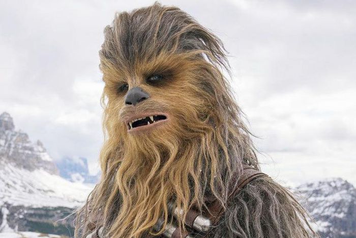 How to Train Like Chewbacca