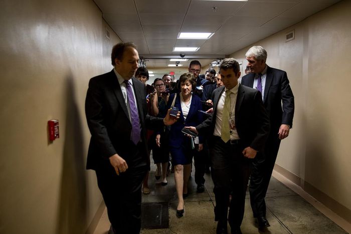 Collins, Mainer Senator, Announces Bid for Reelection