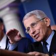 Anthony Fauci says Americans may be able to take summer holidays after the peak of coronavirus passes