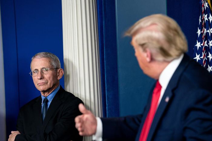 A Single Gesture Behind Trump Fuels an Online Conspiracy Theory