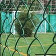 New football pitch has two living trees as goalkeepers, court order says nobody should touch them (video)