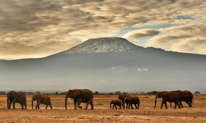 Final resting place: Amboseli National Park in southeastern Kenya