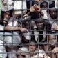 Prison inmates
