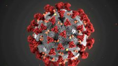Coronavirus
