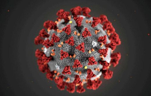 Coronavirus