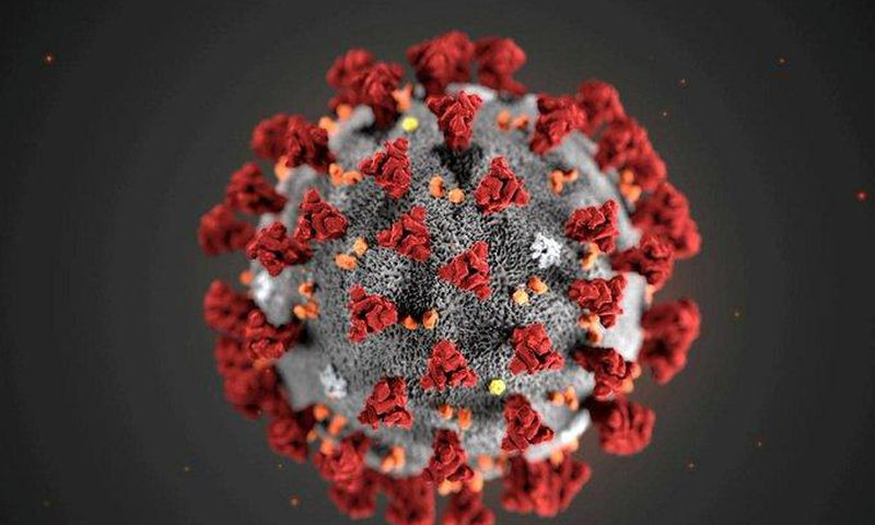 Coronavirus