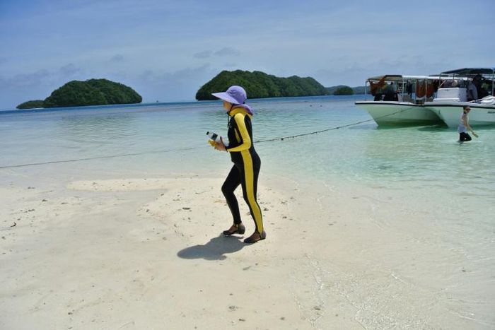 Several Pacific territories have taken steps to restrict access, despite being heavily reliant on Chinese tourism revenues