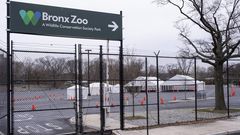 The Bronx Zoo Is Also Empty, but the Animals Don't Mind