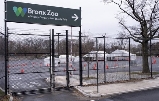 The Bronx Zoo Is Also Empty, but the Animals Don't Mind