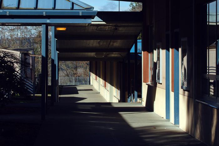 The Great American Experiment in Remote Learning