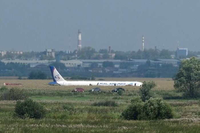 the Ural Airlines Airbus The A321 flying to Crimea hit a flock of seagulls shortly after take-off from Moscow's Zhukovsky airport